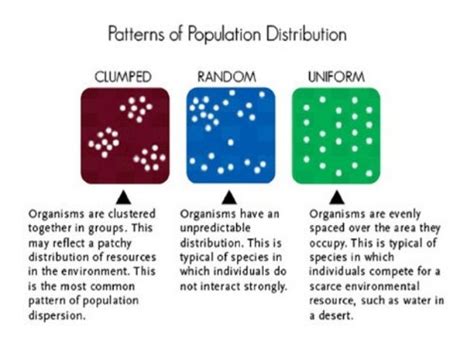 diagram the different population distributions in the boxes below|how to find population distribution.